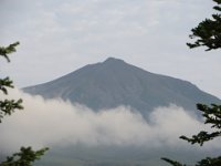img (84)